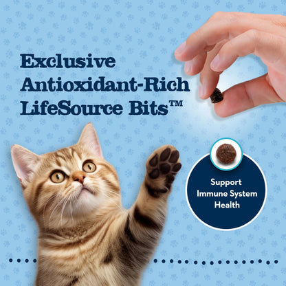 Baby BLUE Natural Kitten Dry Cat Food for Healthy Growth, Chicken, 2-Lb. Bag