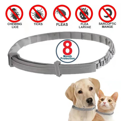 Dog anti Flea and Ticks Cats Collar Pet 8Month Protection Retractable Pet Collars for Puppy Cat Large Dogs Accessories