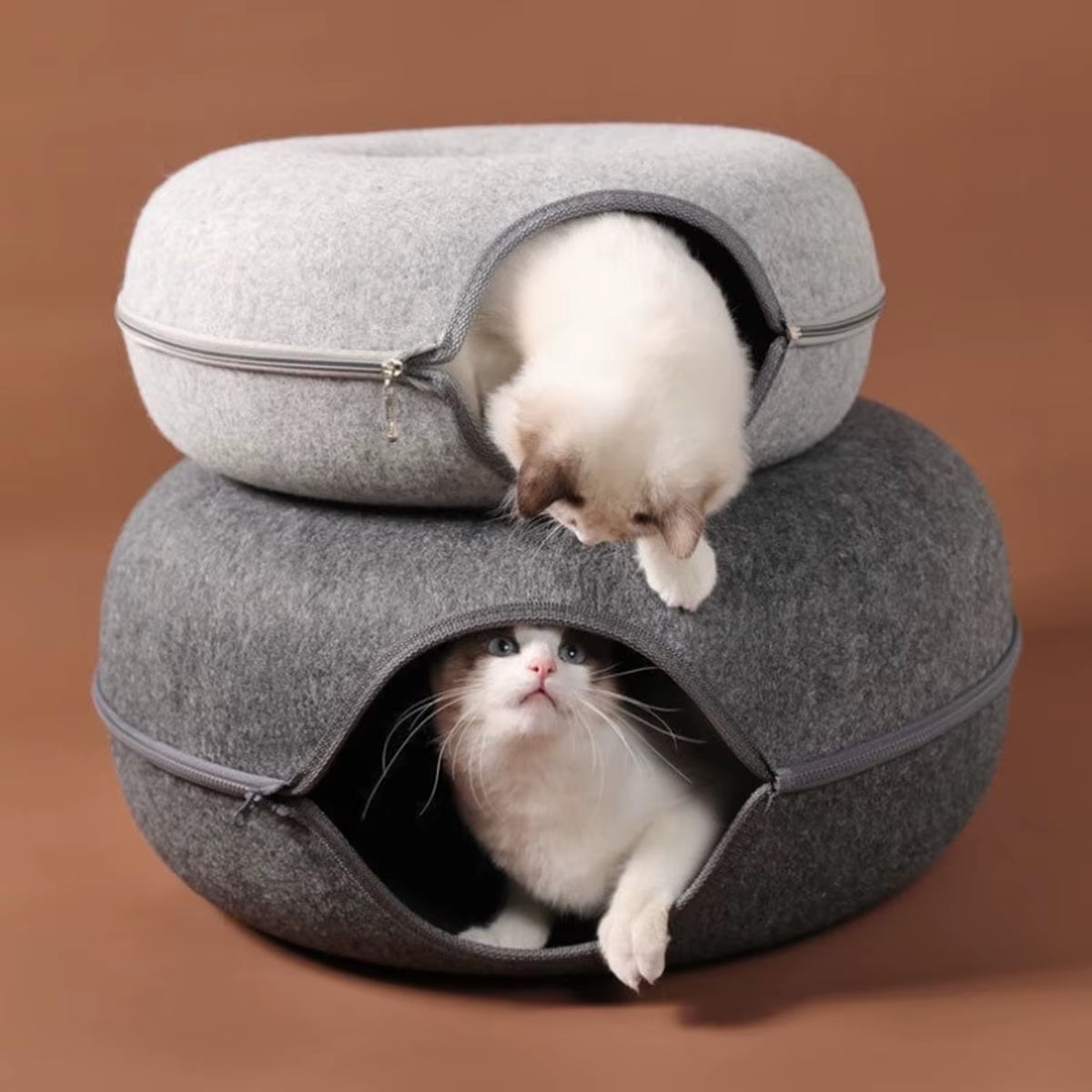 Cozy 2-in-1 Donut Bed & Play Tunnel for Cats – Perfect Hideaway & Interactive Fun! 🐾✨