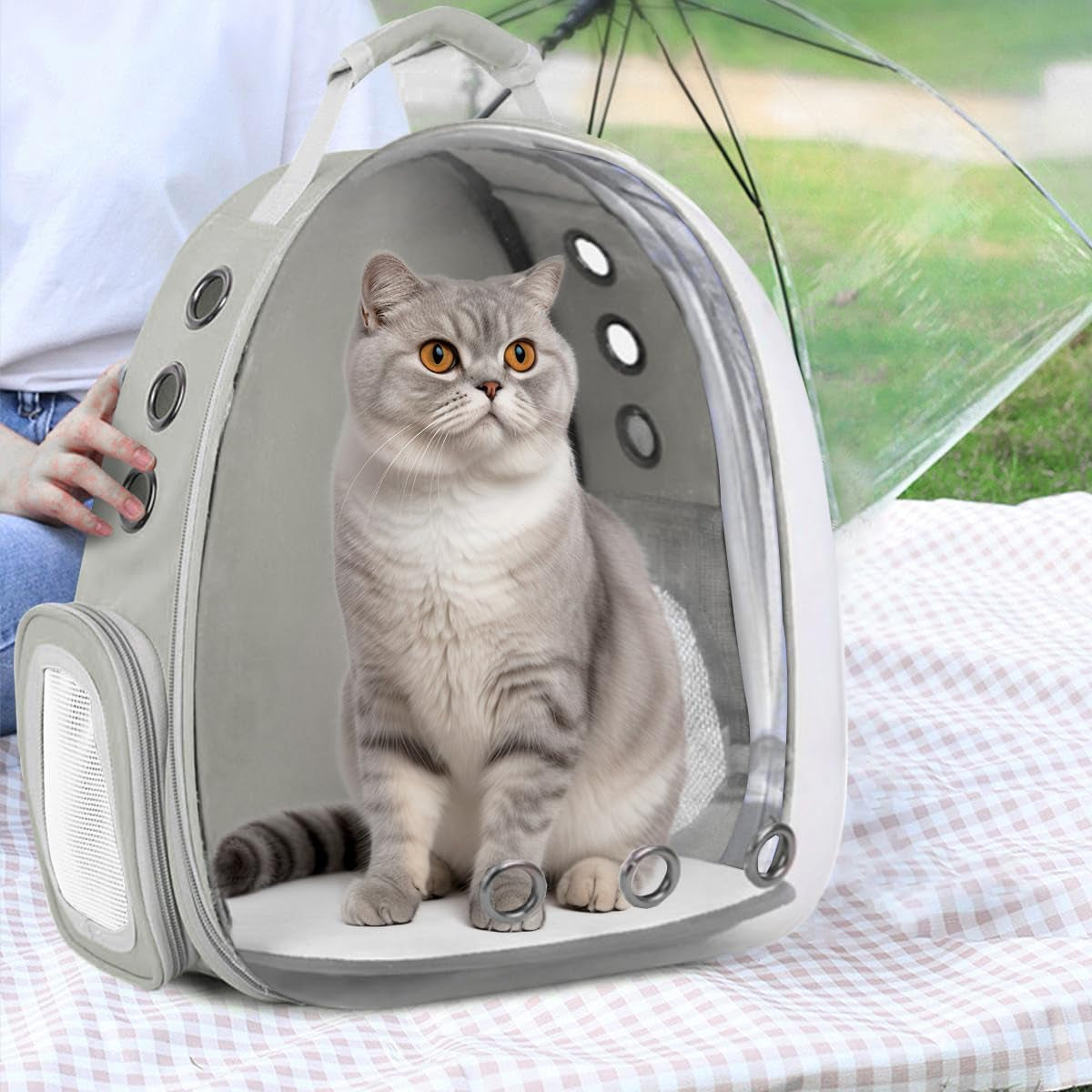 Adventure Awaits! 🐾✨ Get your furry friend ready for hiking, traveling, and camping with our Expandable Bubble Cat Backpack Carrier! Perfect for big cats! 🐱💼 #PetTravel #CatLovers #AdventurePets
