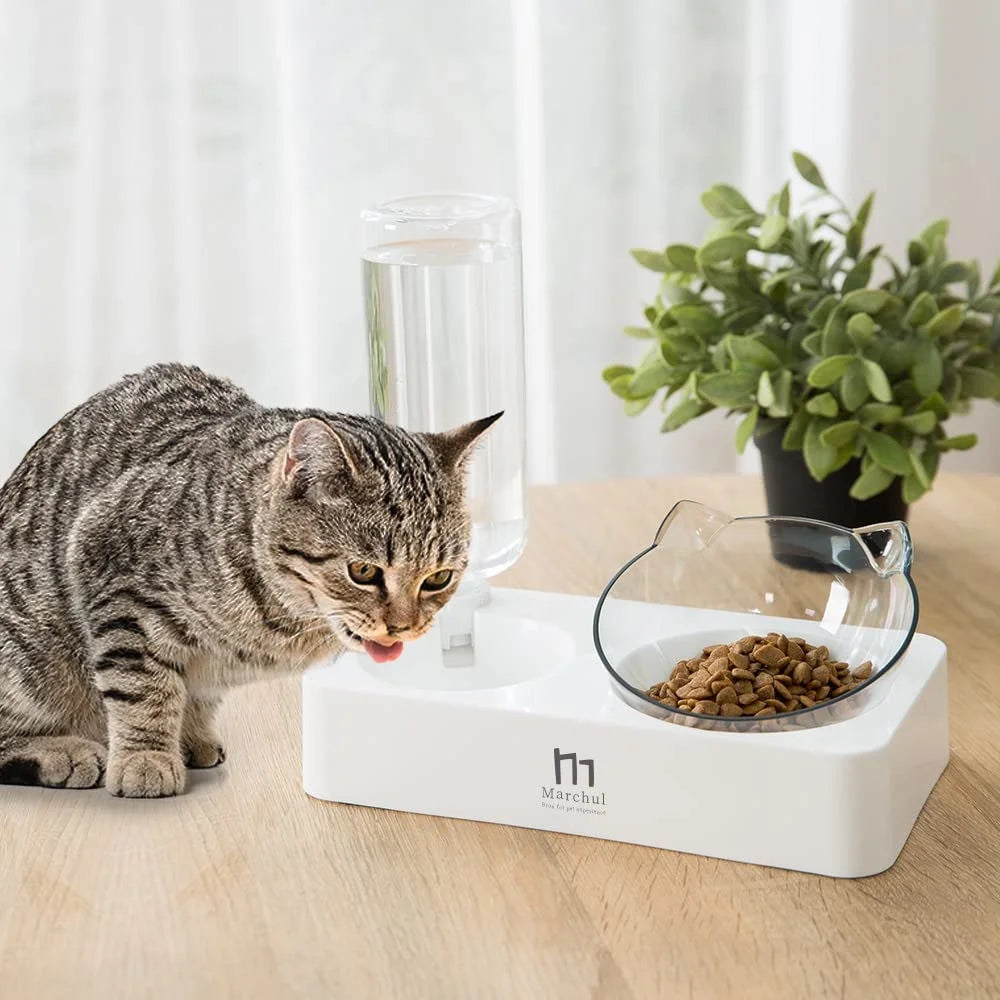 Tilted Raised Cat Food Bowl and Gravity Water Bottle with Feeding Mat