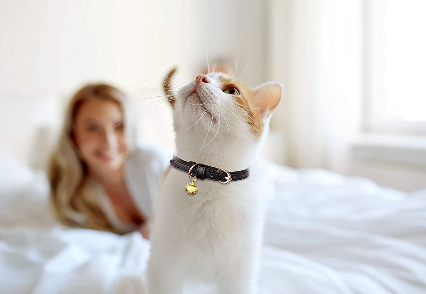 3 Pack Leather Cat Collars with Bells 