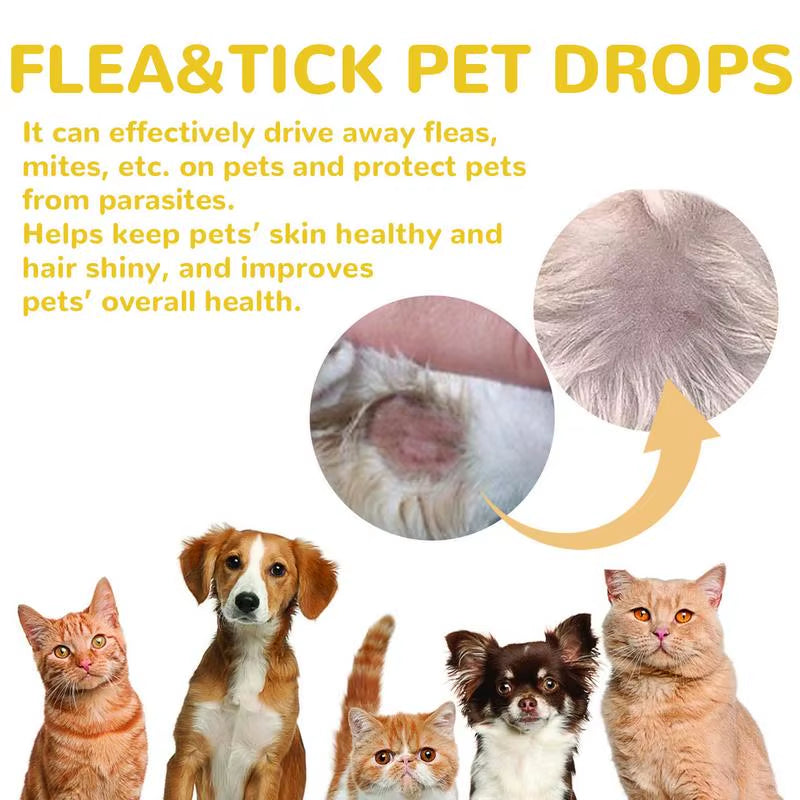 Dogs for Cat Flea and Tick Treatment for Small Medium Large Dogs Cats Topical Flea Treatments Pets Cleaning Care Supplie