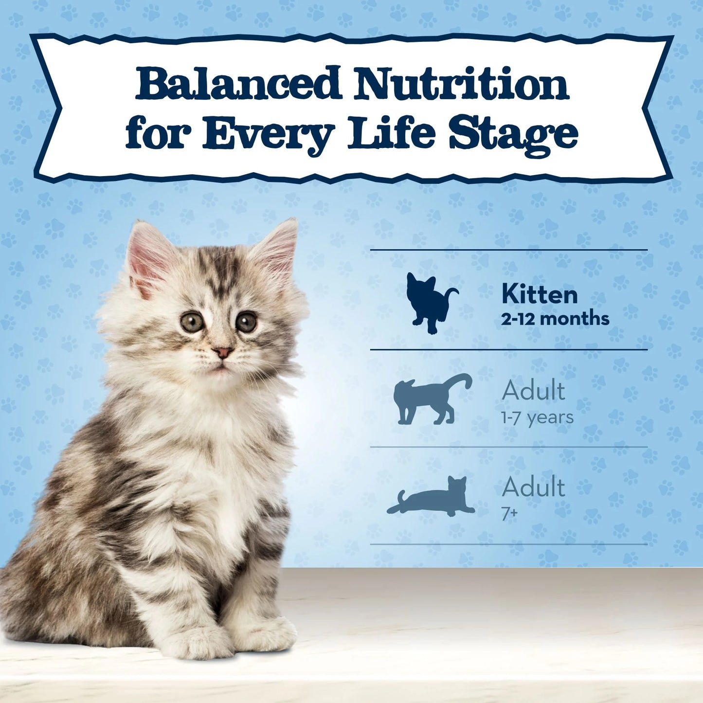 Baby BLUE Natural Kitten Dry Cat Food for Healthy Growth, Chicken, 2-Lb. Bag