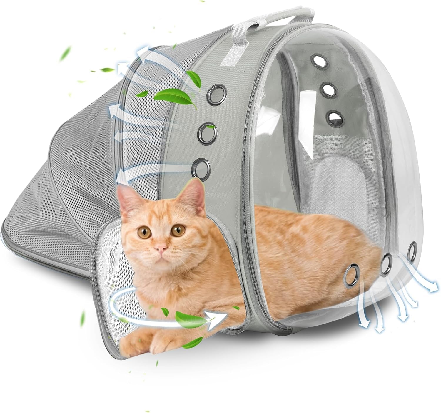 Adventure Awaits! 🐾✨ Get your furry friend ready for hiking, traveling, and camping with our Expandable Bubble Cat Backpack Carrier! Perfect for big cats! 🐱💼 #PetTravel #CatLovers #AdventurePets