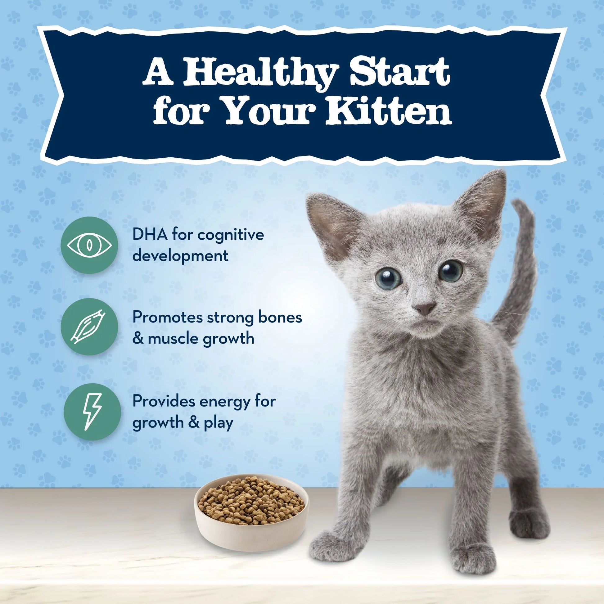Baby BLUE Natural Kitten Dry Cat Food for Healthy Growth, Chicken, 2-Lb. Bag