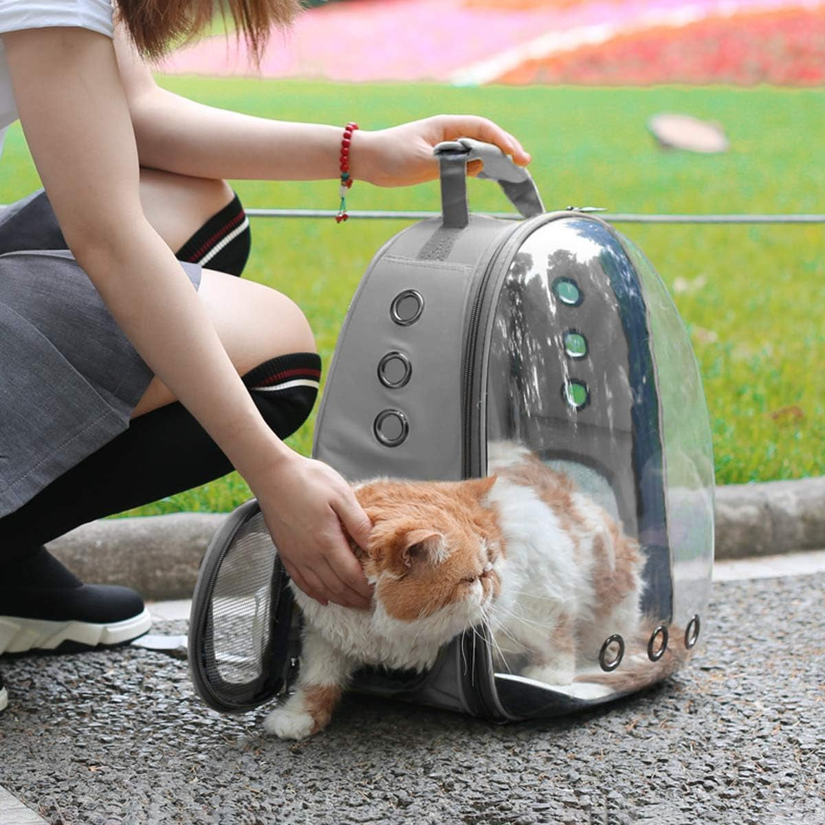 Adventure Awaits! 🐾✨ Get your furry friend ready for hiking, traveling, and camping with our Expandable Bubble Cat Backpack Carrier! Perfect for big cats! 🐱💼 #PetTravel #CatLovers #AdventurePets
